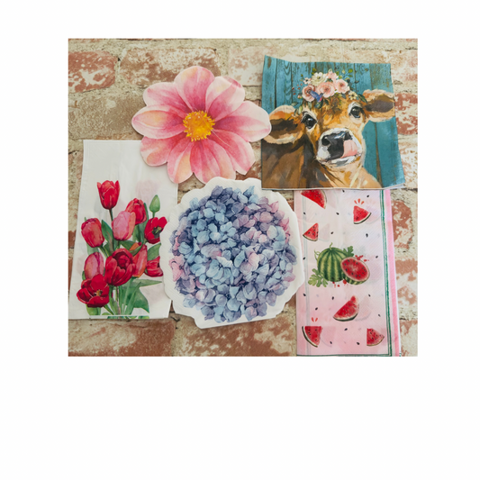 Spring/Summer napkin bundle